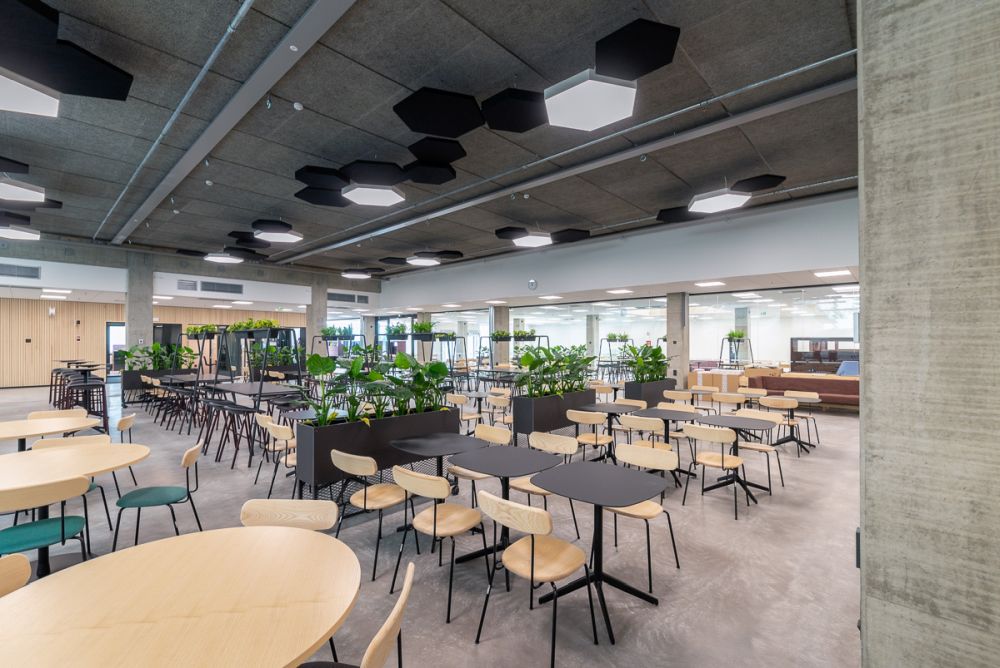 turku university of applied sciences tuttu chairs