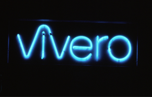 vivero neon