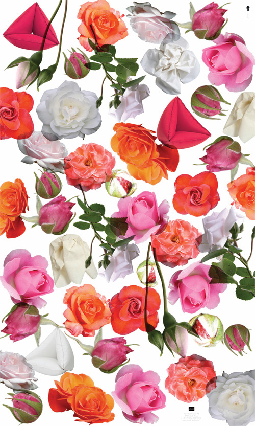 Vivero 2014 juliste